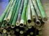 Vendita canne bambù