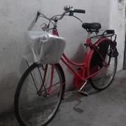 Bicicletta da donna
