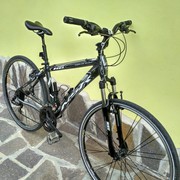 bicicletta unisex