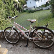 Mountain bike